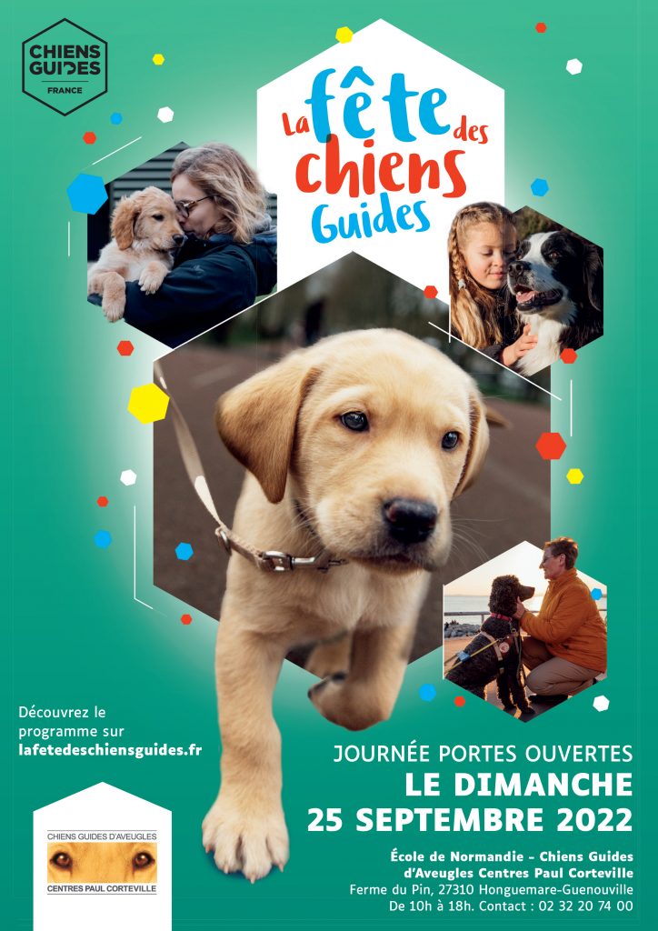 Chiens guides